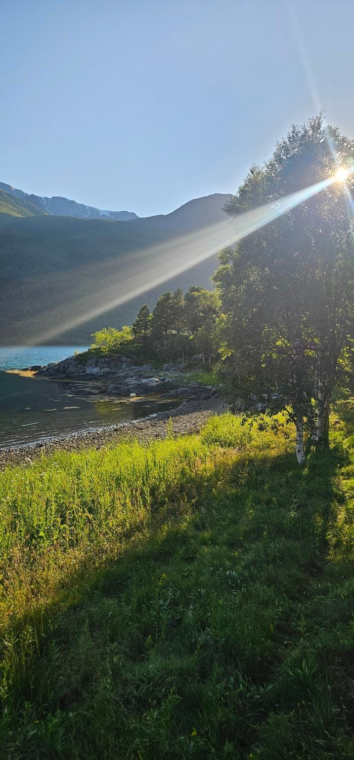 Fredbo Nature lodge in Nordland, Norway