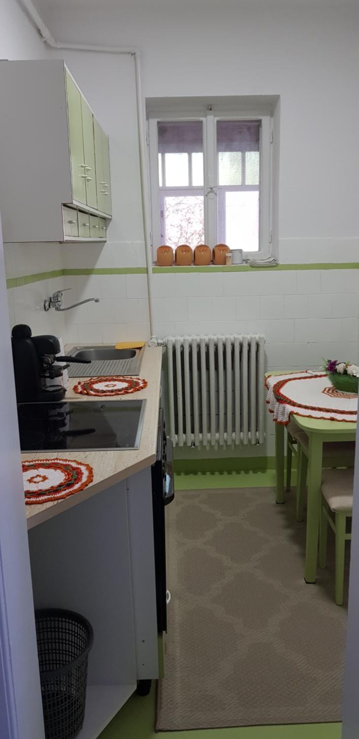 Rózsa apartman Apartment in Romania