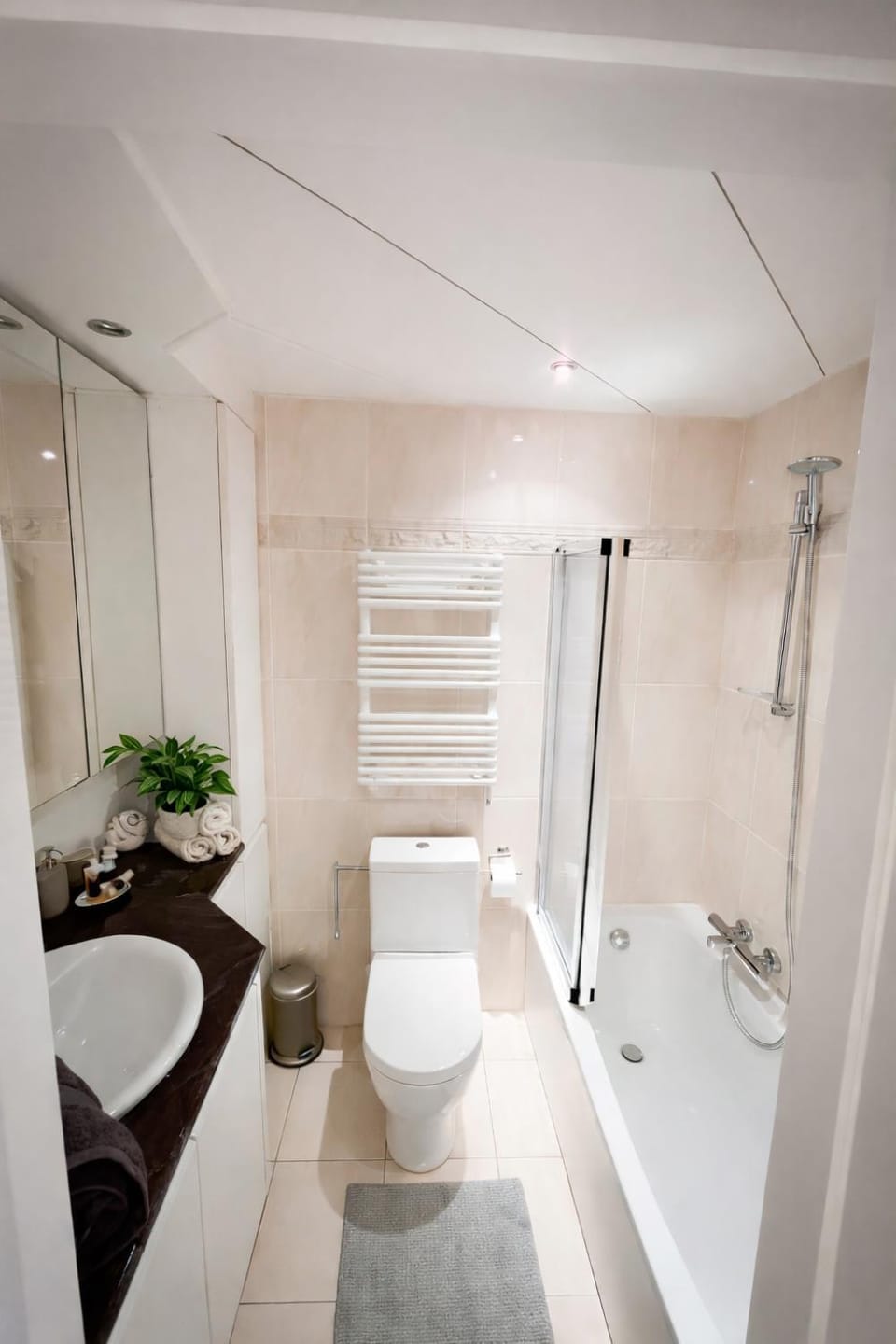 Shower, Toilet, Bathroom, Bath, towels