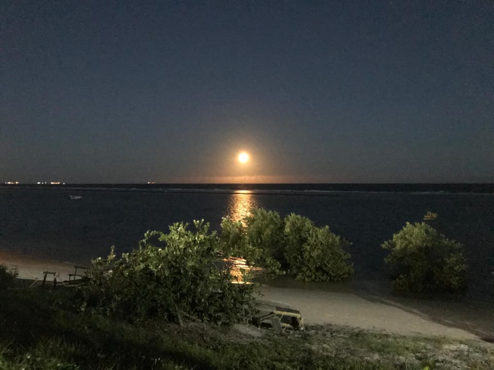 Night, Sea view