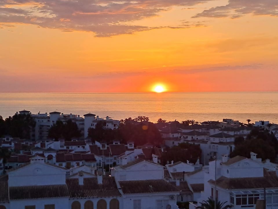 Anne apartment Apartment in Torrevieja