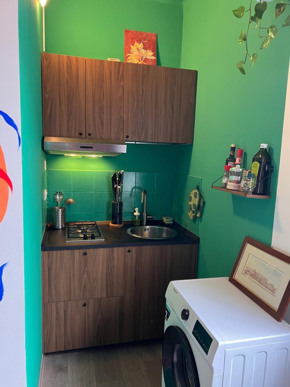 Wonderful view Apartment in Pisa