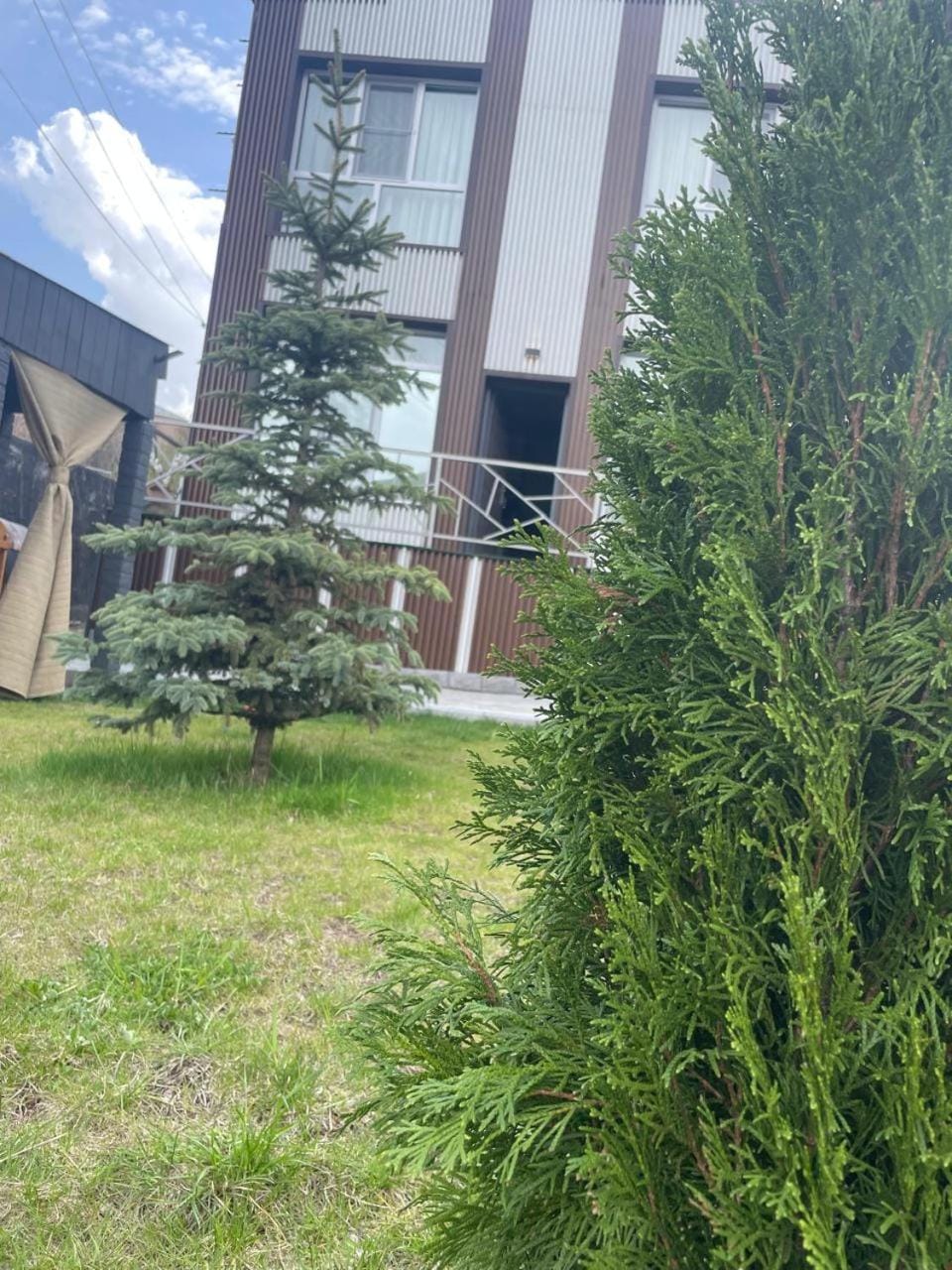 Property building, Day, Garden
