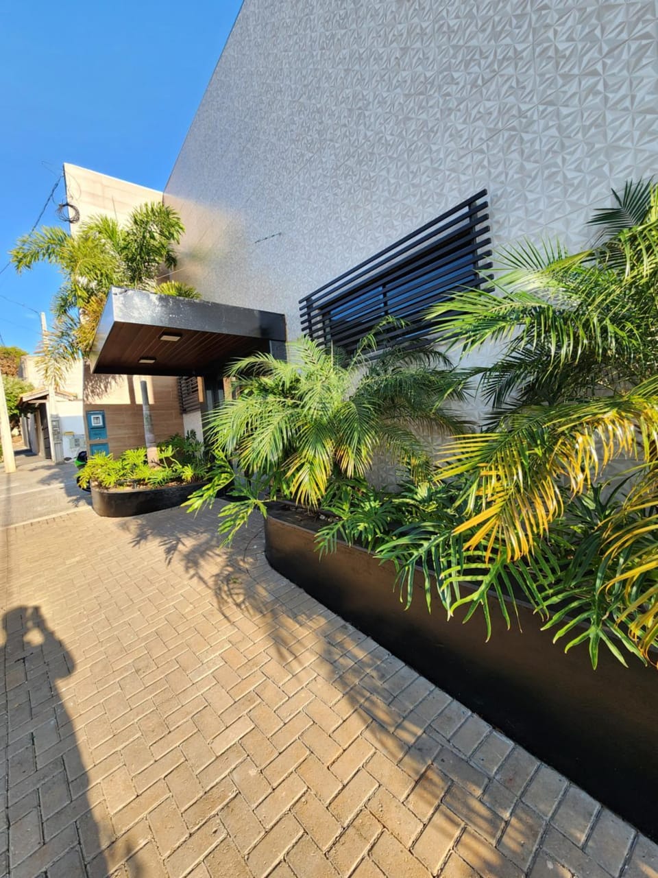 Day, Garden, Garden view