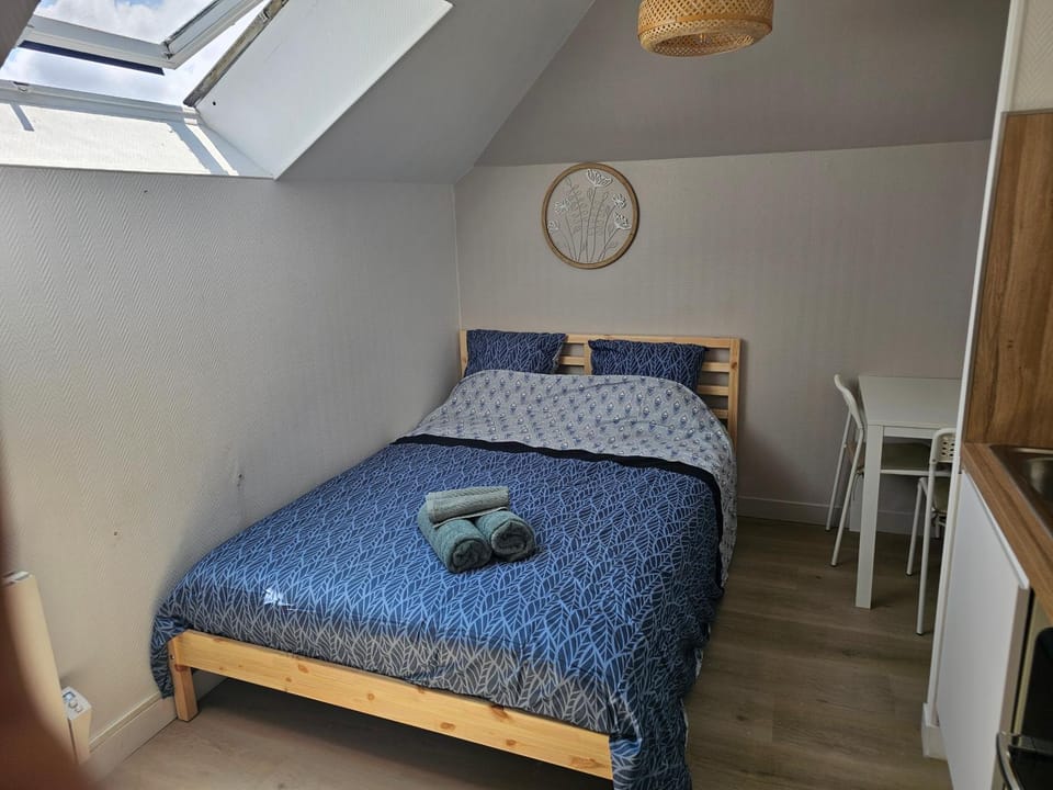 Joli studio plein centre proche Gare Orléans Apartment in Orléans