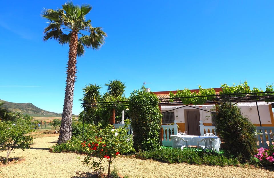 Property building, Garden, Garden view