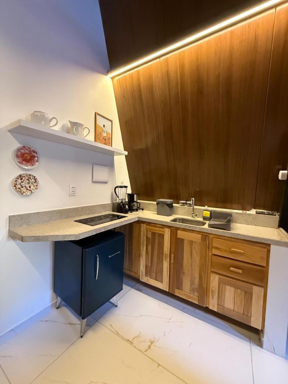 Kitchen or kitchenette, minibar, stove