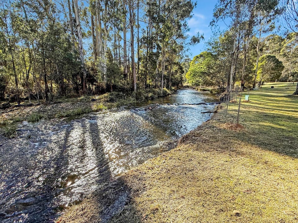 Fishing, Garden