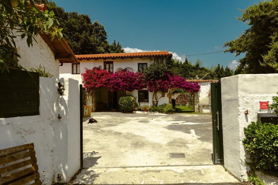 La casa de los árboles House in Cantabria