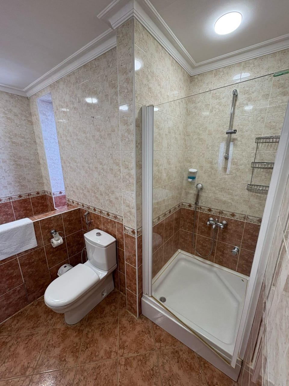Shower, Toilet, Bathroom, Bath, bidet, towels