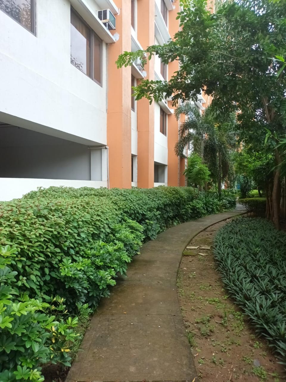 Garden, Garden, Garden view