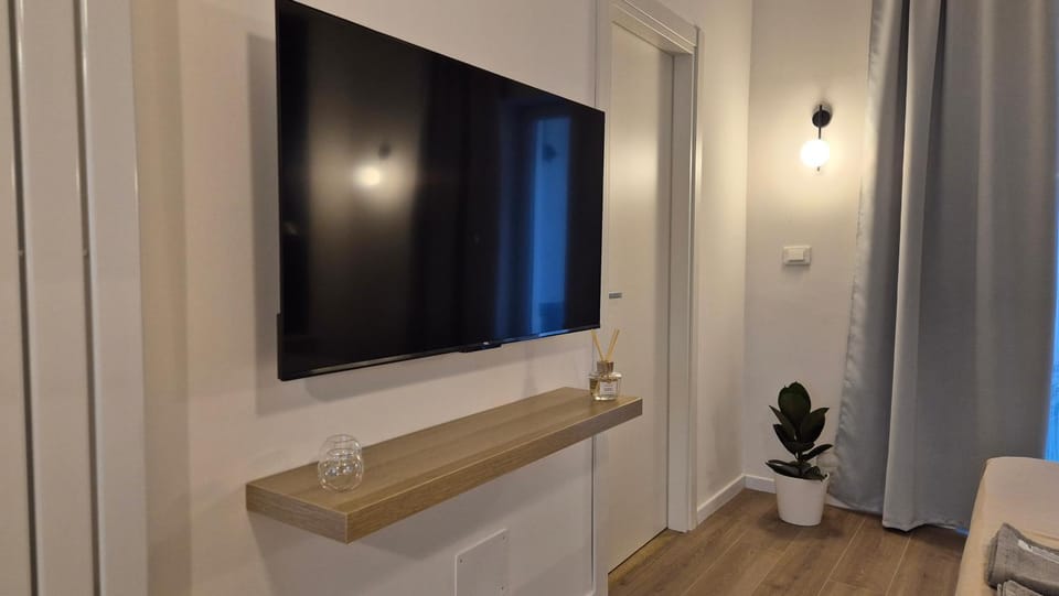TV and multimedia