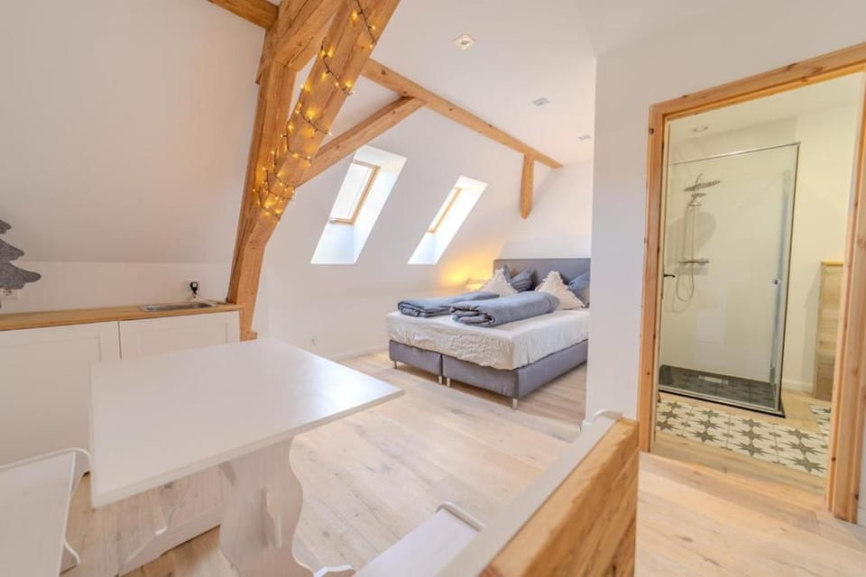 Waldhof The Tann Schluchsee Pool - 6 BR Villa in Schluchsee