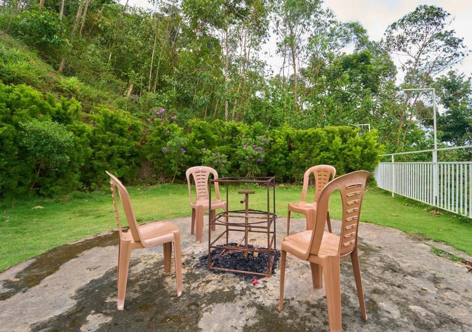 Day, Garden, Garden view