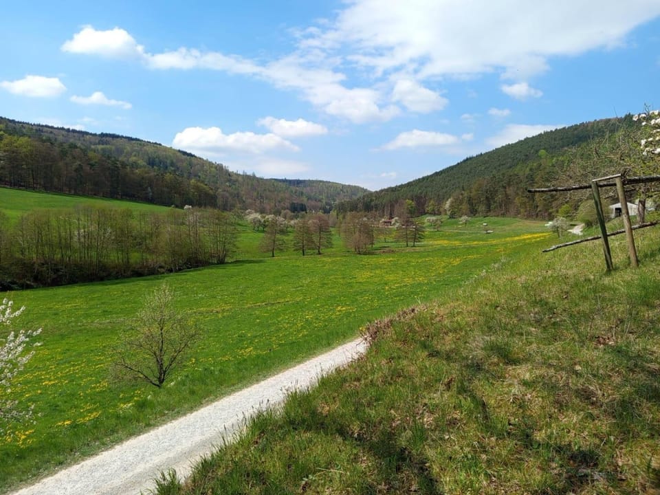 Natural landscape