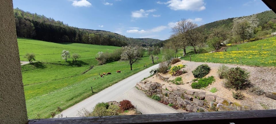 Natural landscape, Garden view