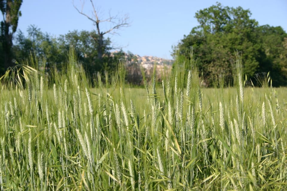 evvIVA's house House in Marche