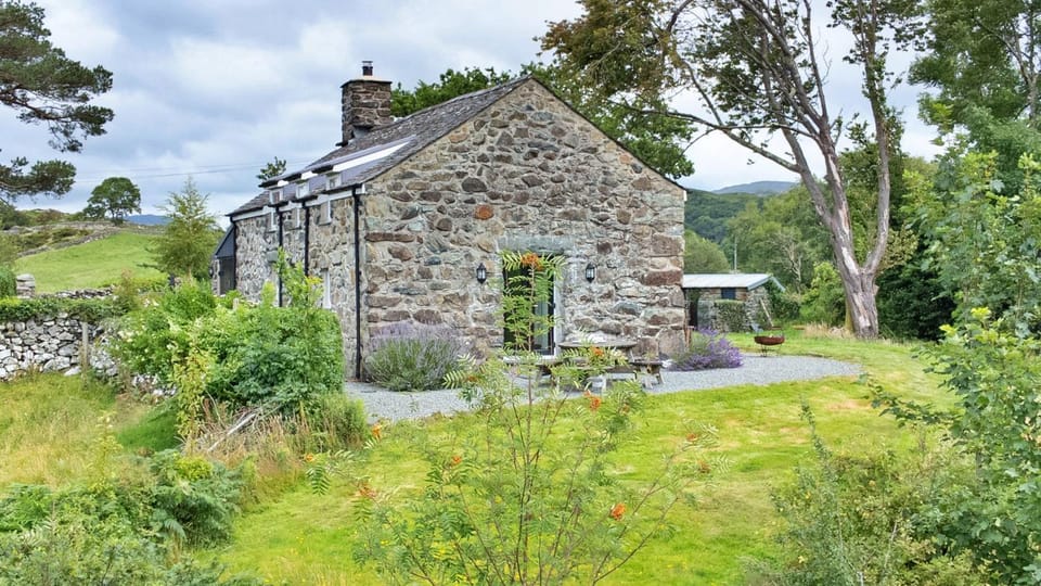 Patio, Garden, Garden view