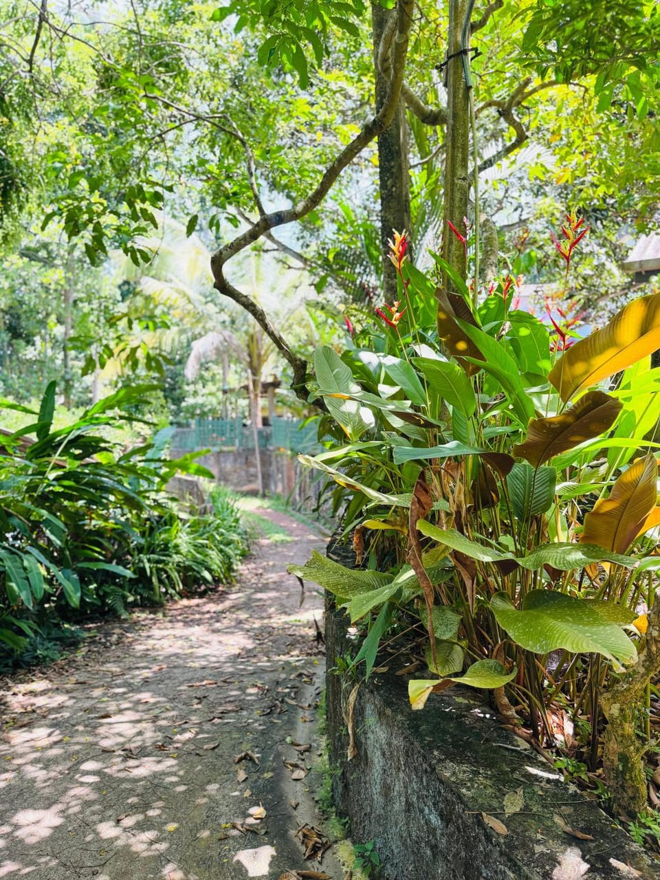 Tranquil Family Stay near Hikkaduwa Apartment in Hikkaduwa