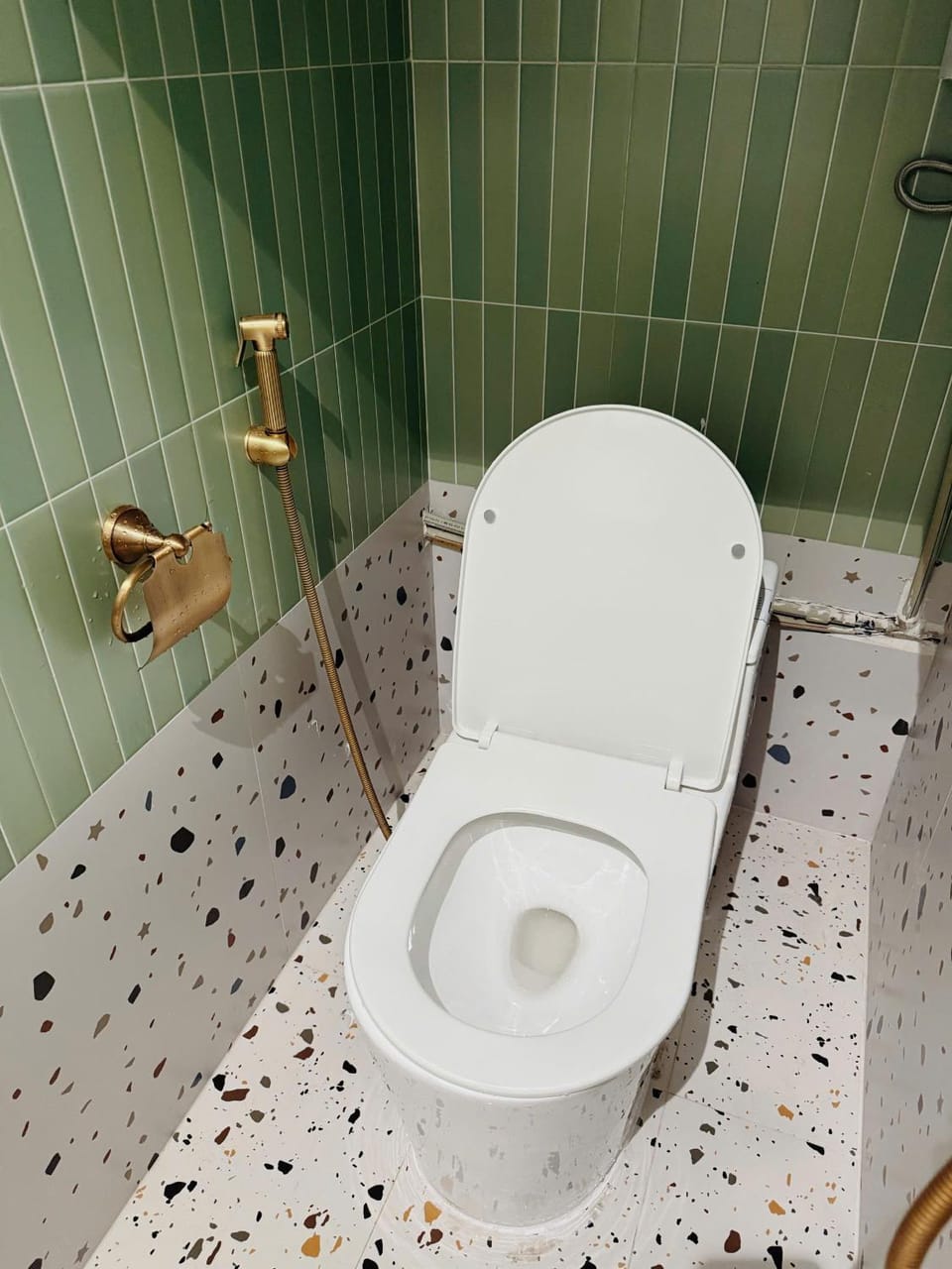 Toilet, Bathroom, bidet