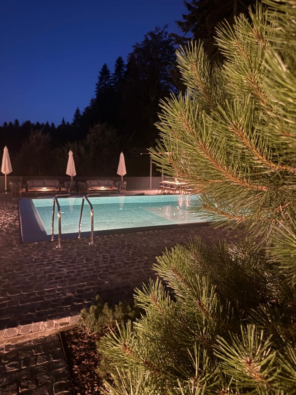 Garden Hill Mitrovac na Tari Villa in Zlatibor District, Serbia