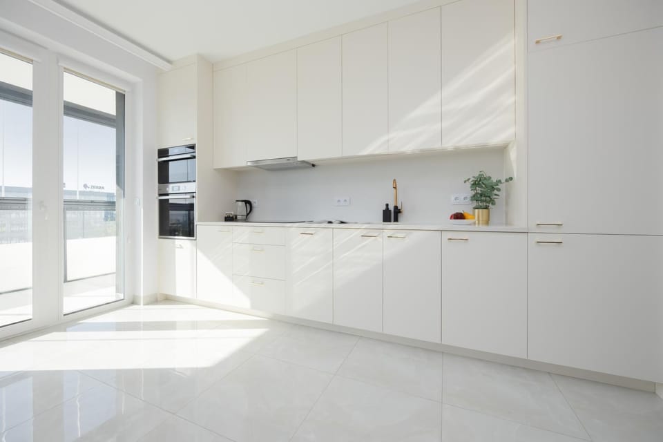 Kitchen or kitchenette, dishwasher, stove