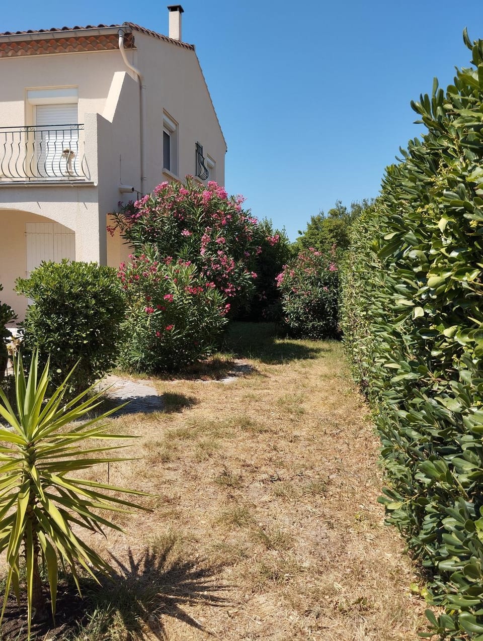 Garden, Garden view