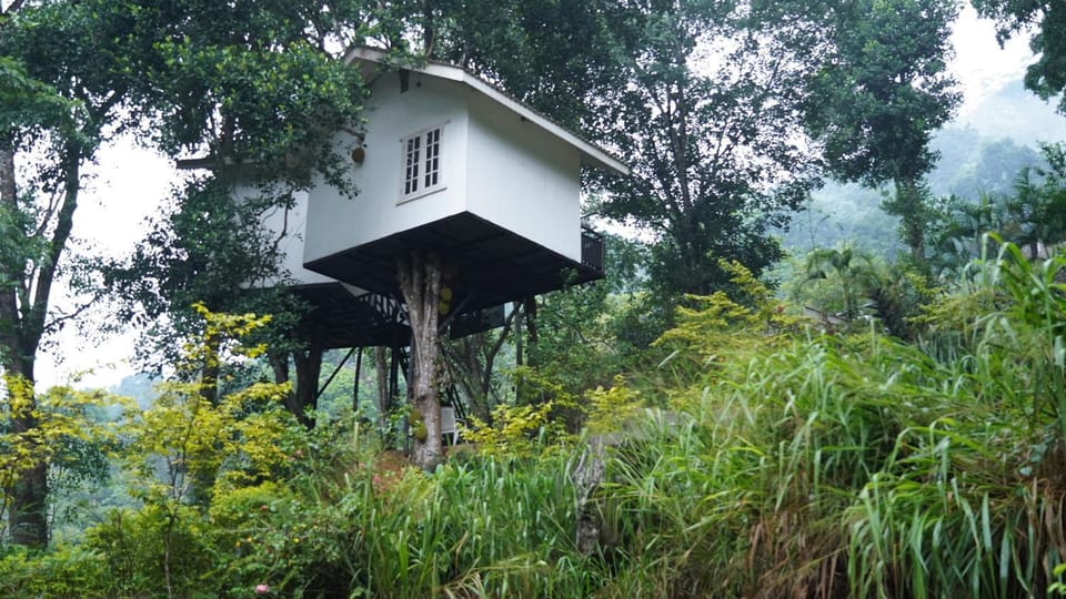 Tree Nature Resort Villa in Uva Province, Sri Lanka