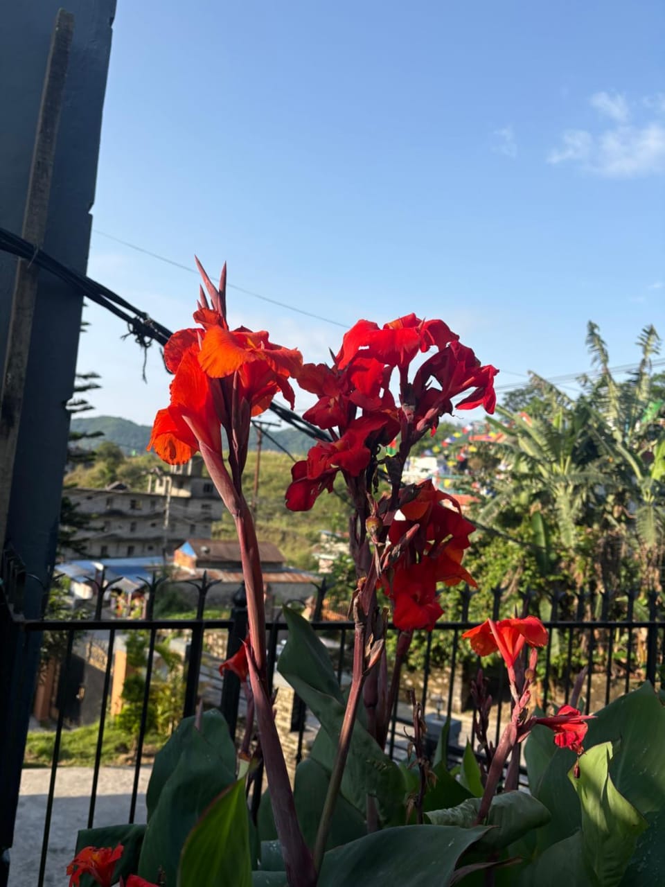 Baloo's Family homestay Vacation rental in Bagmati Province, Nepal
