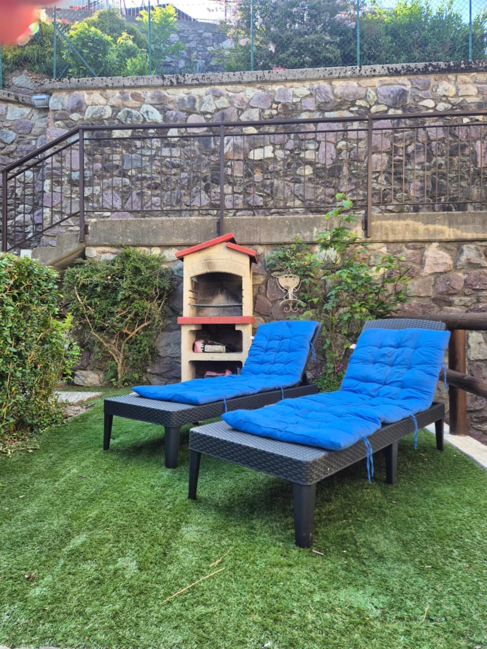 Garden, Garden view, sunbed
