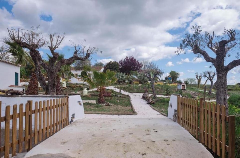 Natural landscape, Garden, Garden view
