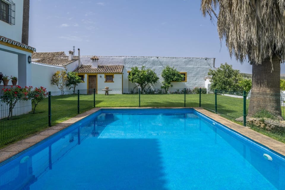 Property building, Living room, Swimming pool