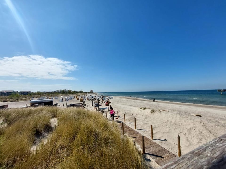 Finka Hanni Apartment in Ostholstein