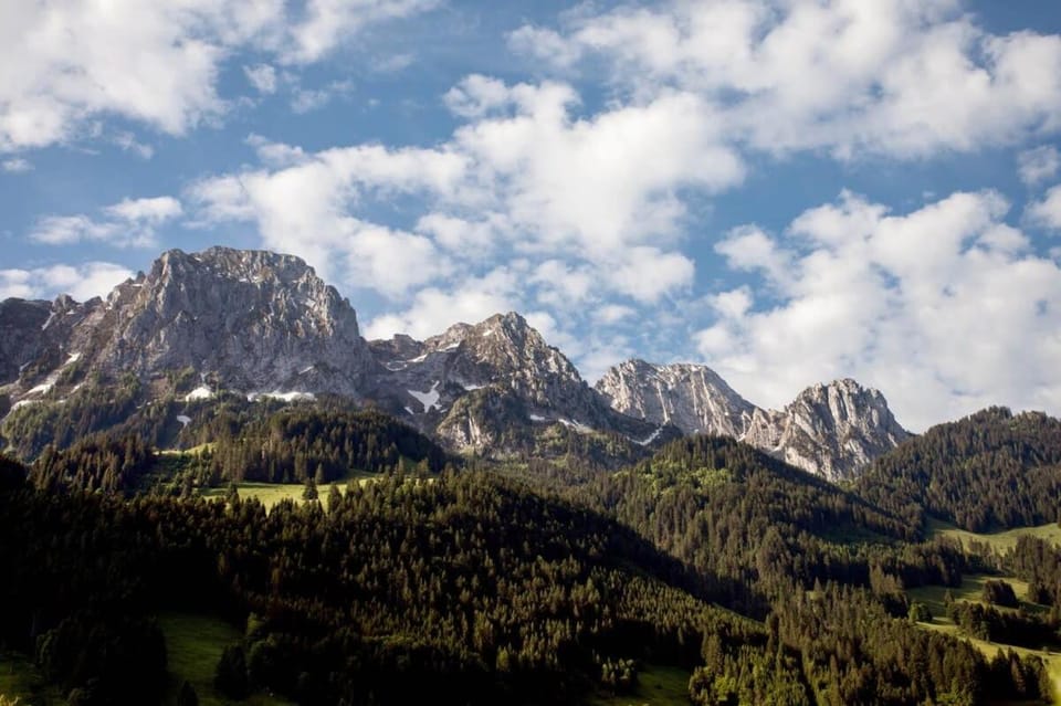 Regent Retreat Villa in Saanen