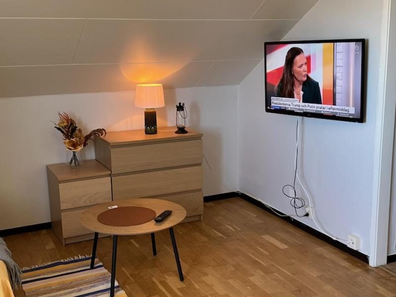 TV and multimedia