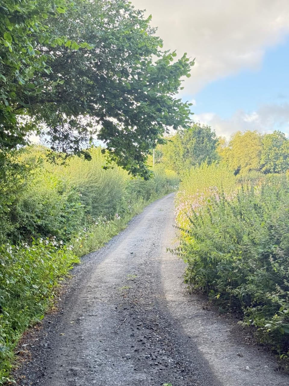 Location