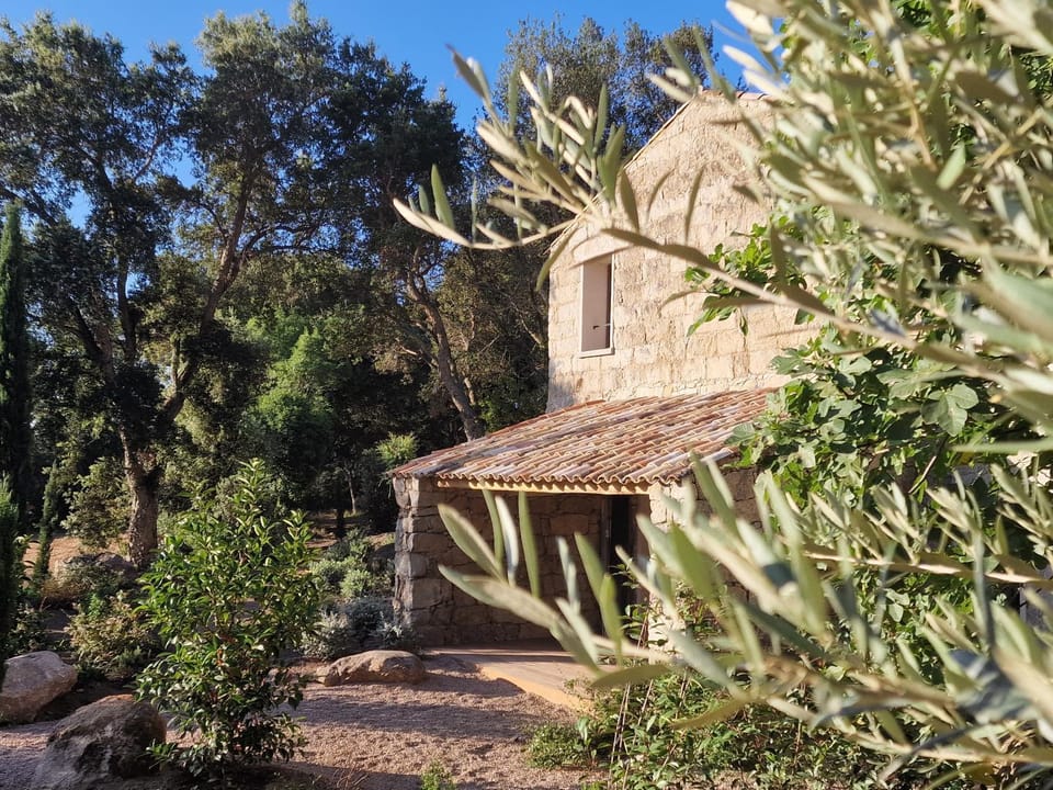 Natural landscape, Garden view