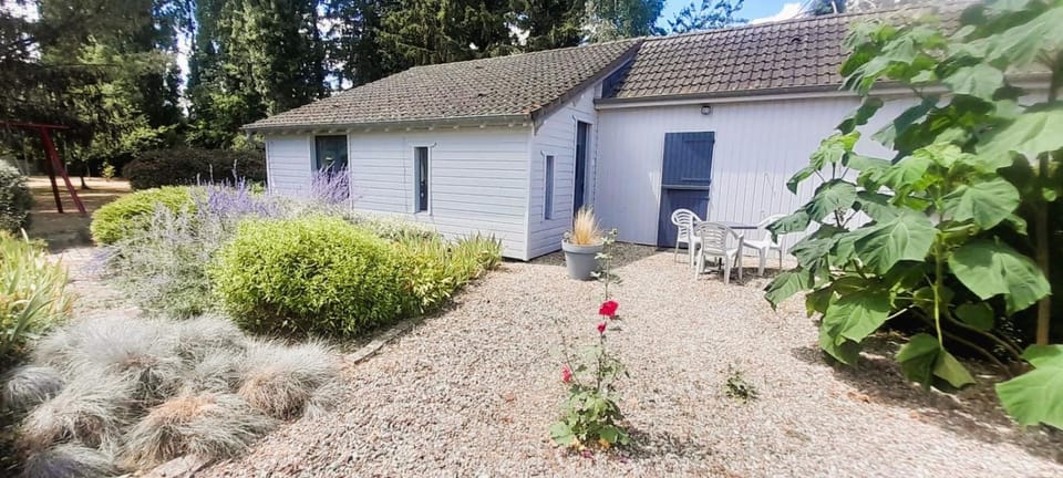 Patio, Garden, Garden view