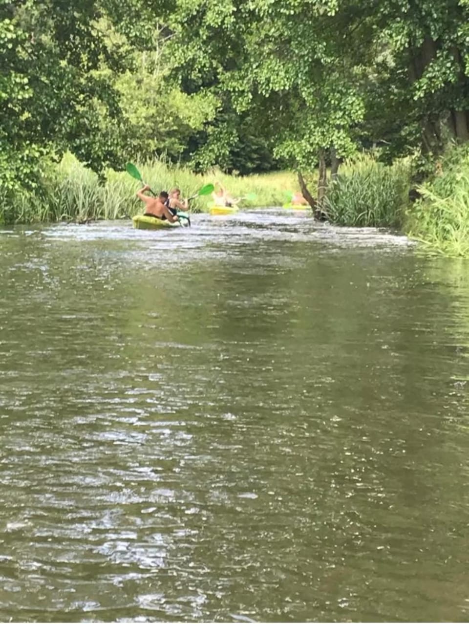 Natural landscape, Activities, Canoeing, Canoeing