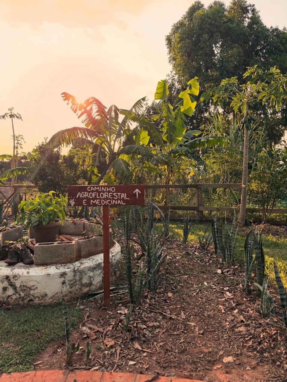 Natural landscape, Garden view