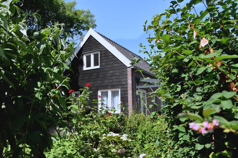 Property building, Spring, Garden view