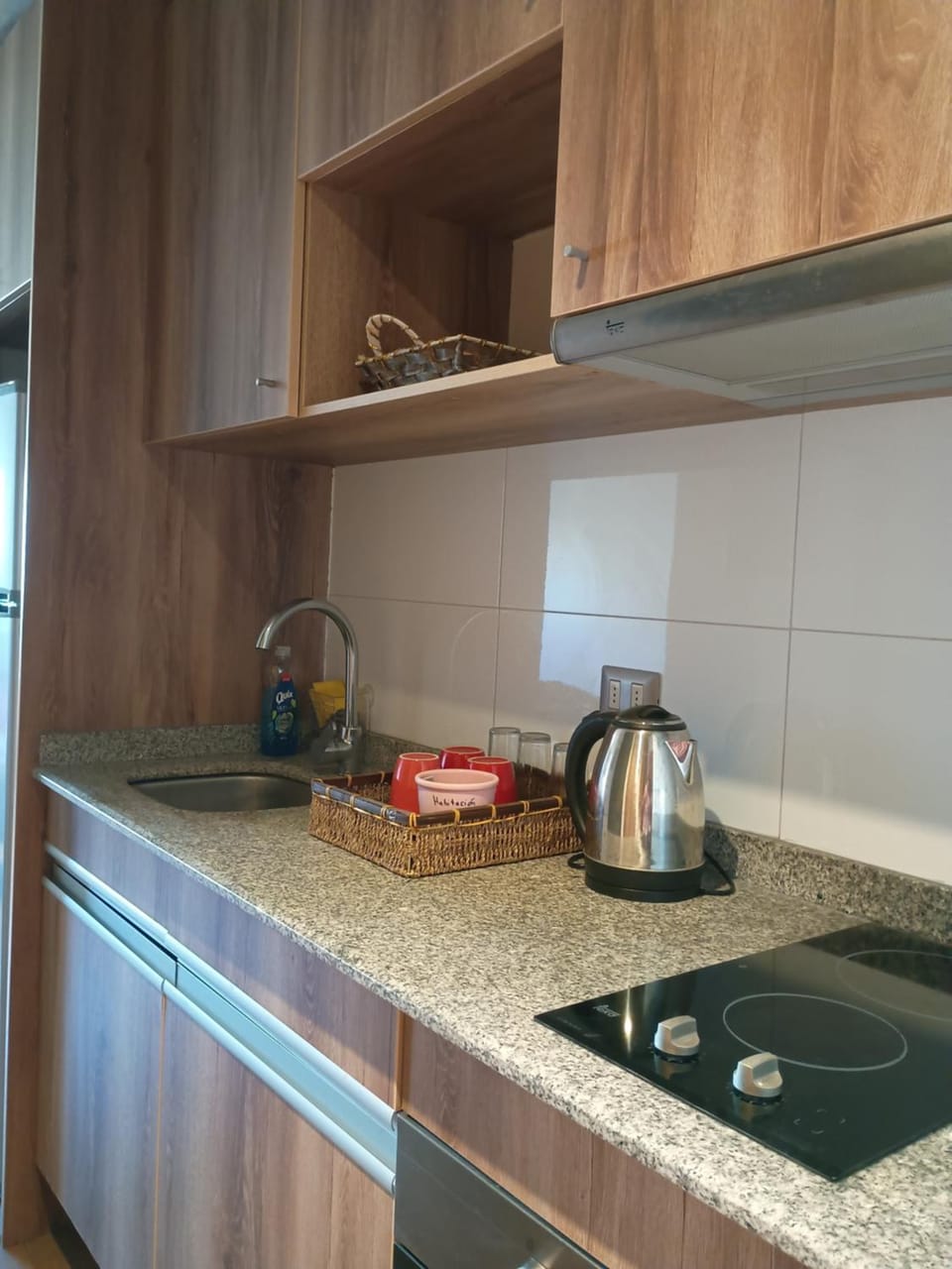 Departamento Barcelona Apartment in Temuco