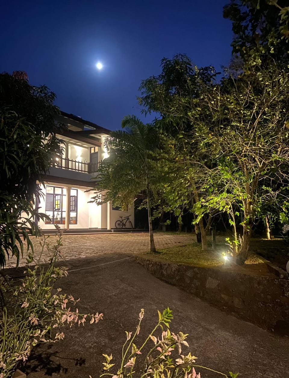Property building, Night, Garden, Garden view
