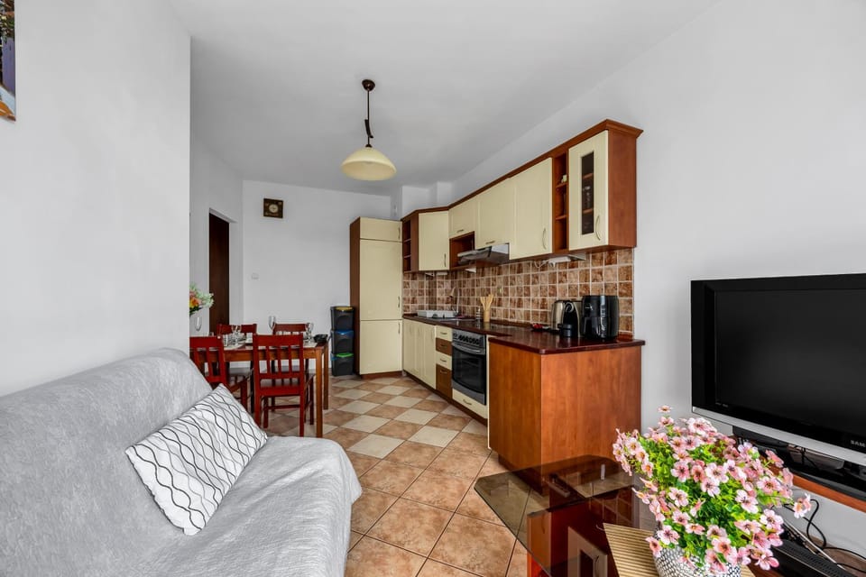 Communal lounge/ TV room, TV and multimedia, Kitchen or kitchenette, Living room, Seating area, Dining area, Evening entertainment, stove