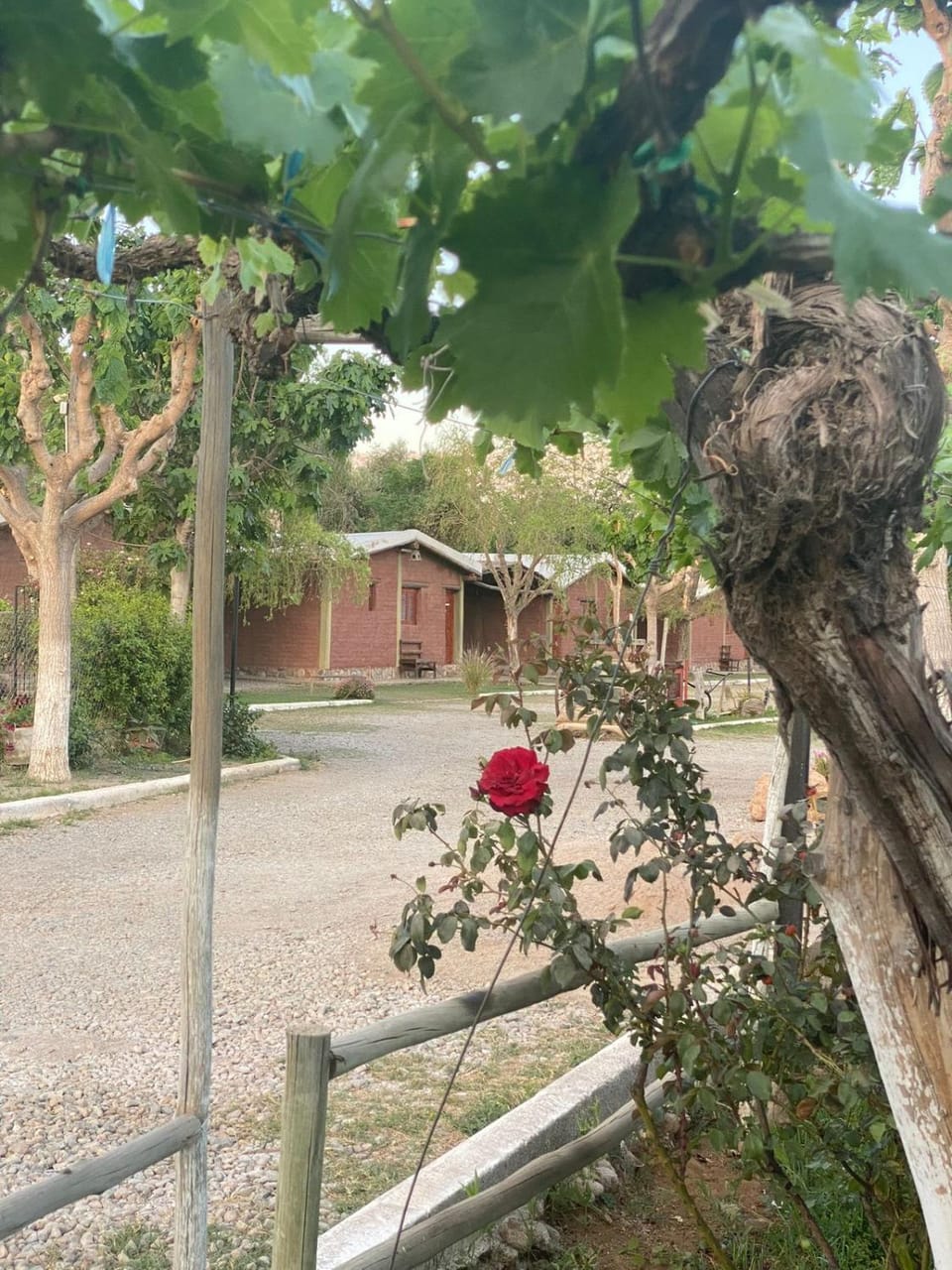 cabañas las viñas Chalet in San Juan Province, Argentina