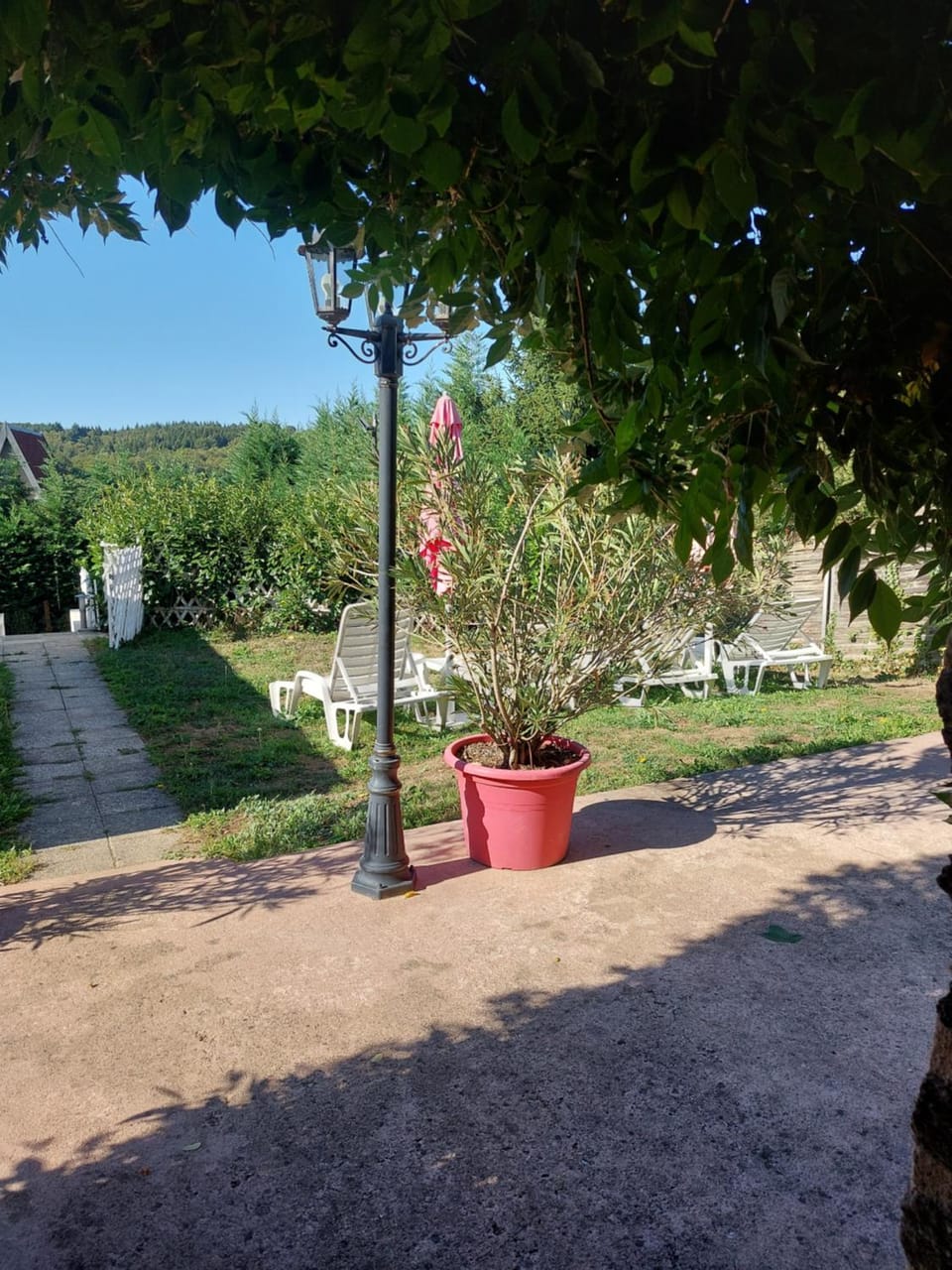 GITE de THOMAS House in Nouvelle-Aquitaine