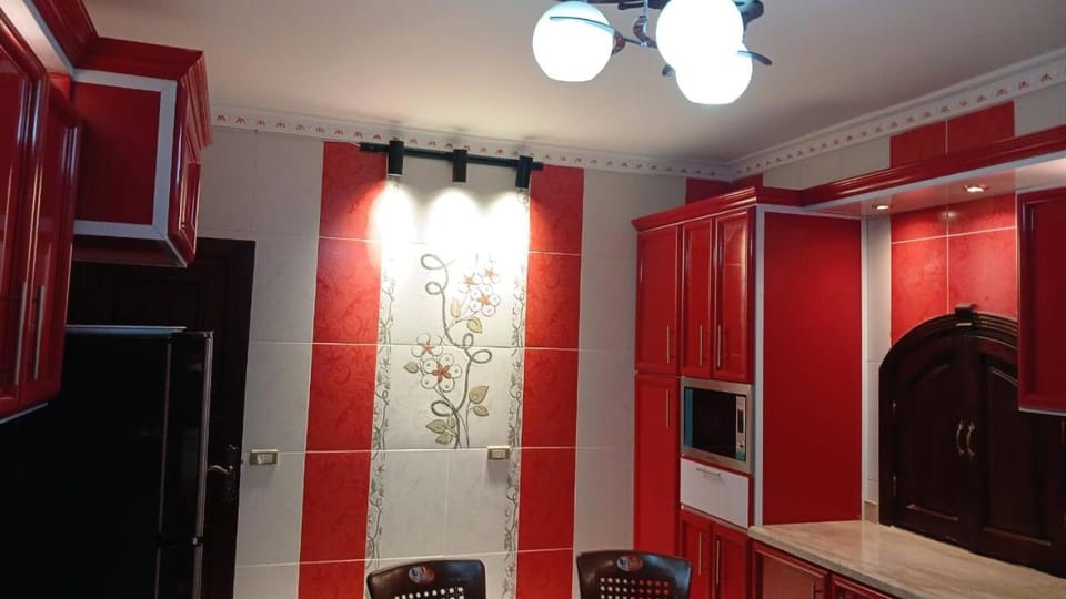 Fully Brand New Furnished Apartment Apartment in Egypt