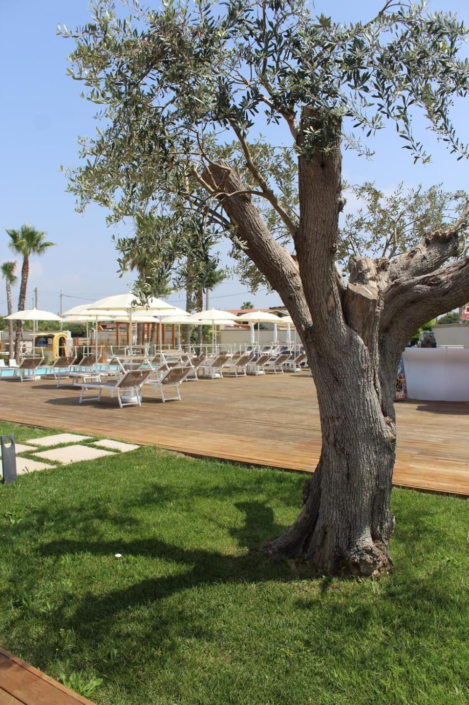 Neas Resort Apartment in Campania