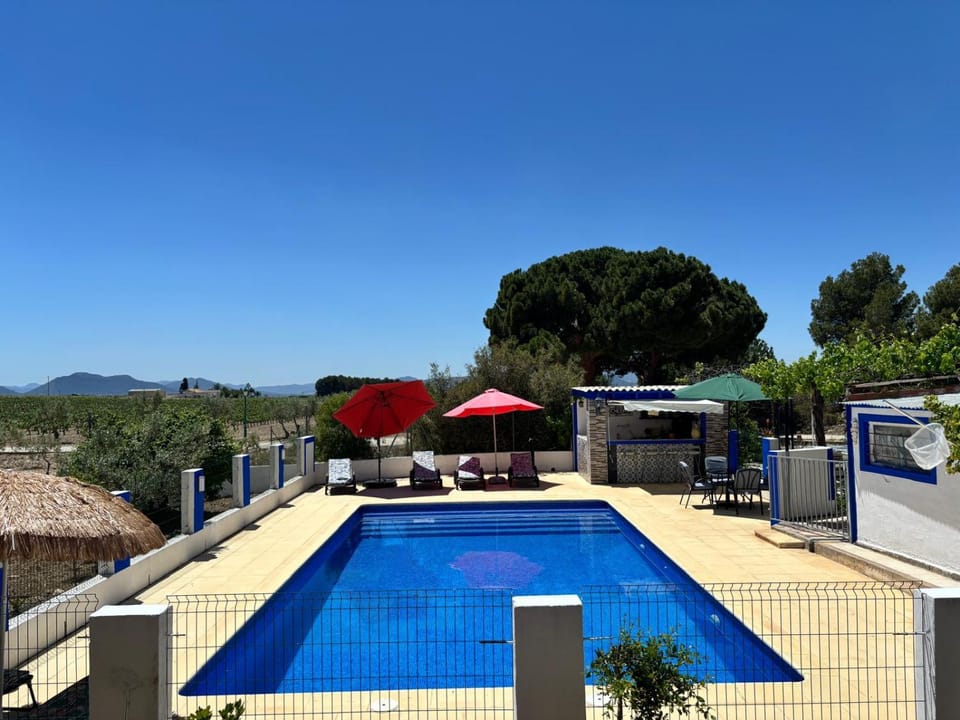 Day, Natural landscape, Lounge or bar, Pool view, Swimming pool, sunbed