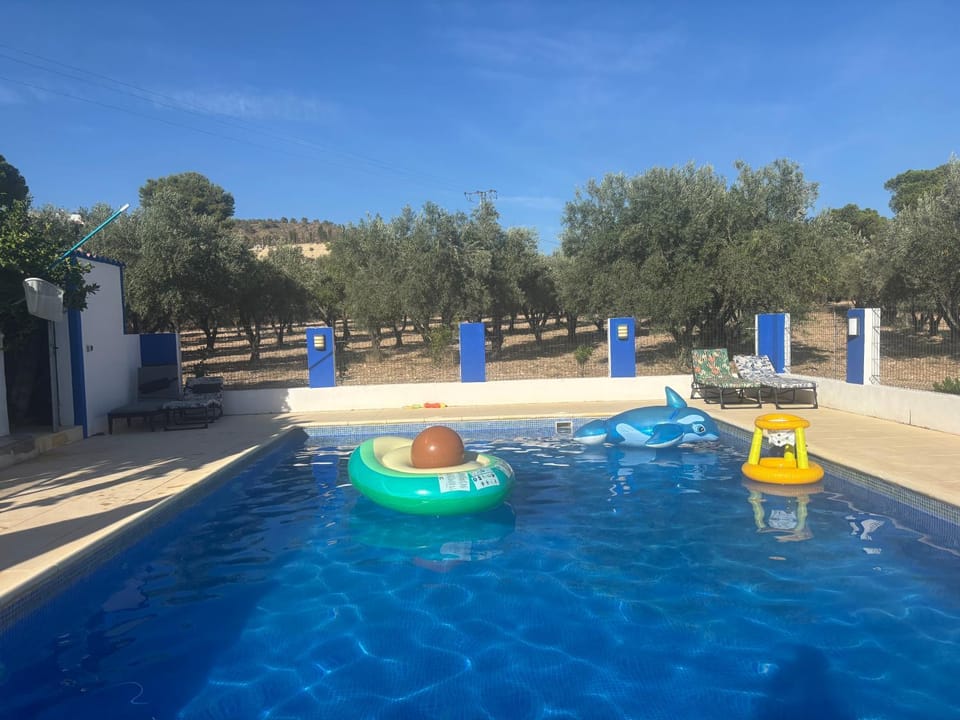 Day, Garden view, Pool view, Swimming pool, sunbed